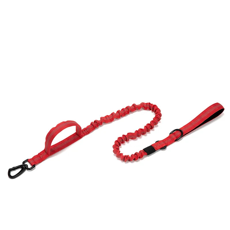 Ensemble Collier & Laisse pour Chien – Résistant, Réfléchissant et Confortable Ma boutique