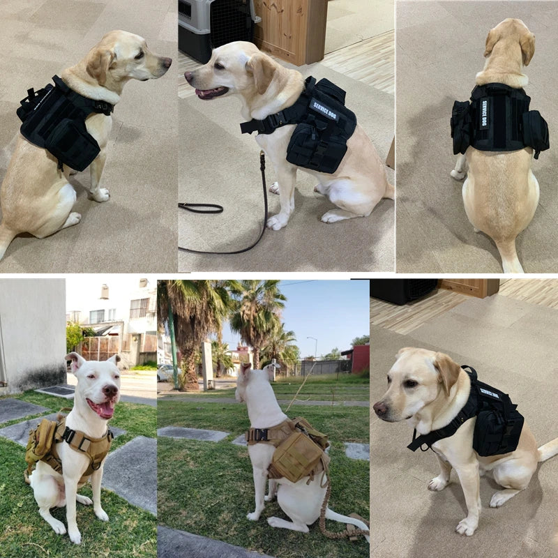 Harnais Tactique Militaire pour Chien – COOYOMOO Ma boutique