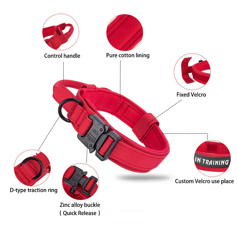 Ensemble Collier & Laisse pour Chien – Résistant, Réfléchissant et Confortable Ma boutique