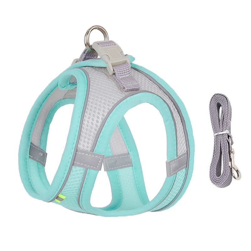 Ensemble Harnais et Laisse pour Petit Chien ou Chat – Harnais Réglable en Maille Respirante avec Liseré Réfléchissant Ma boutique