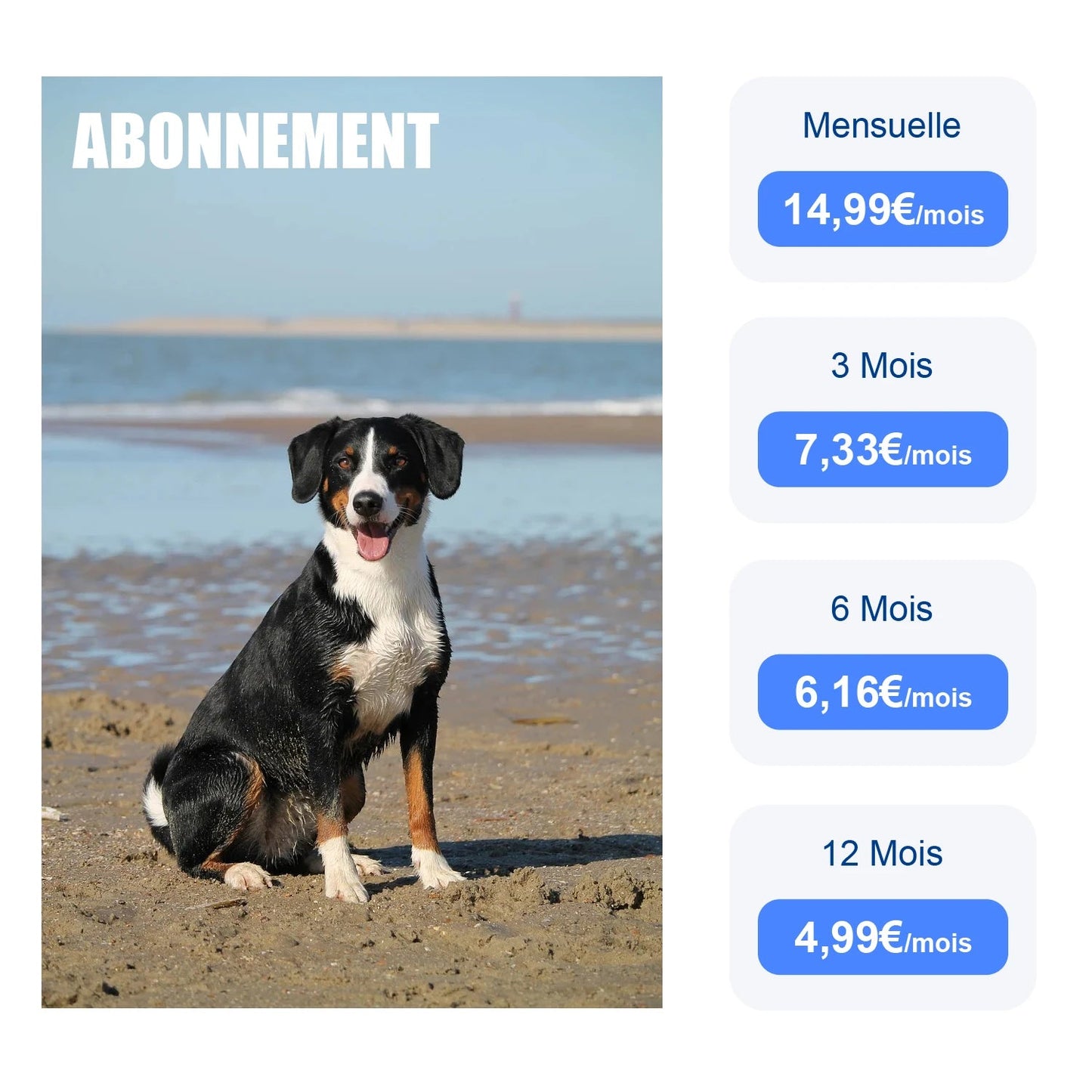 Traceur GPS 4G pour Chien & Chat – Étanche, Localisation en Temps Réel, Son/Lumière, Application Mobile Incluse Ma boutique