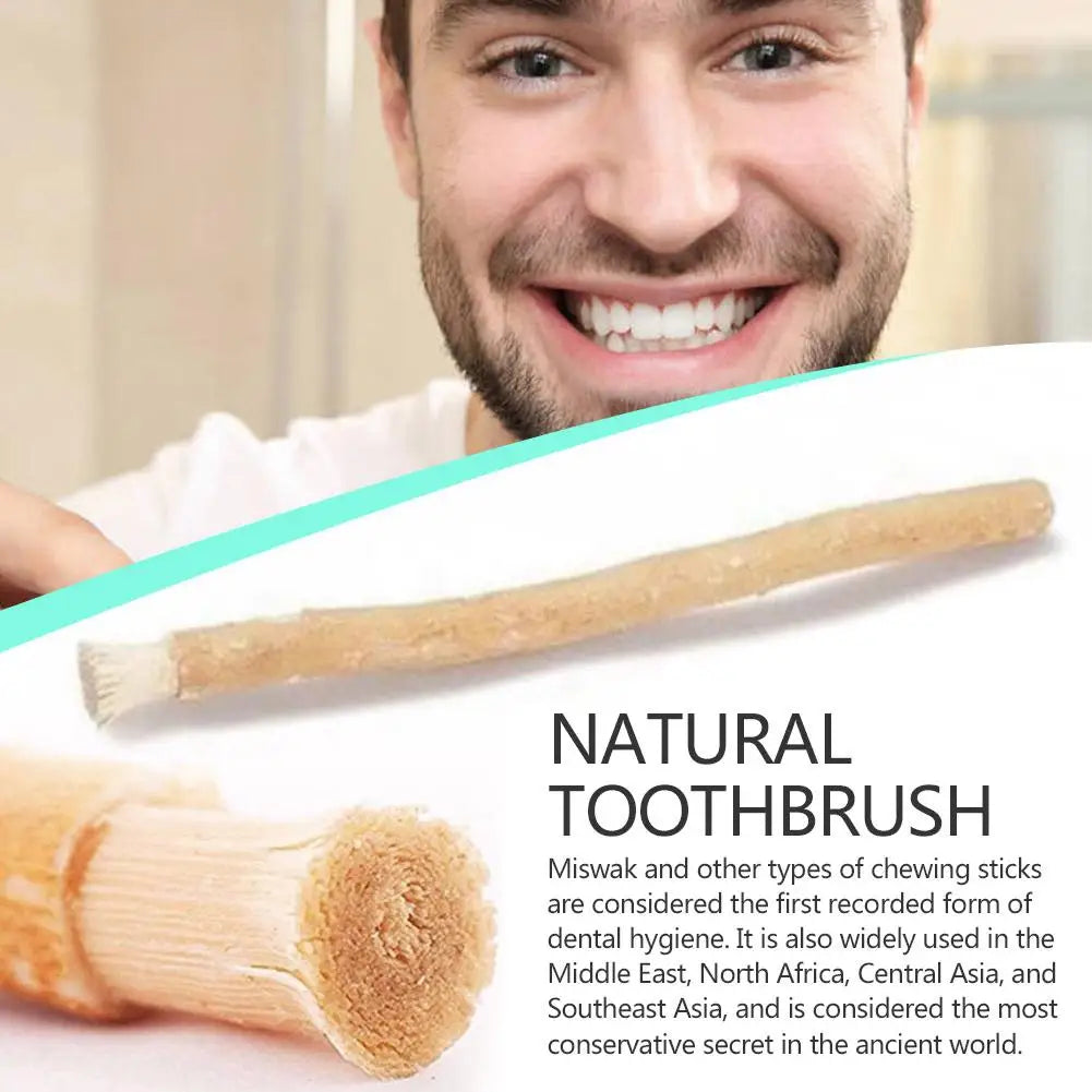 Brosse à dents naturelle portable Miswak (Siwak) – Brosse traditionnelle en bois, blanchissante, manuelle, 1 unité - BLACKBEARD OUTDOOR INDUSTRIES