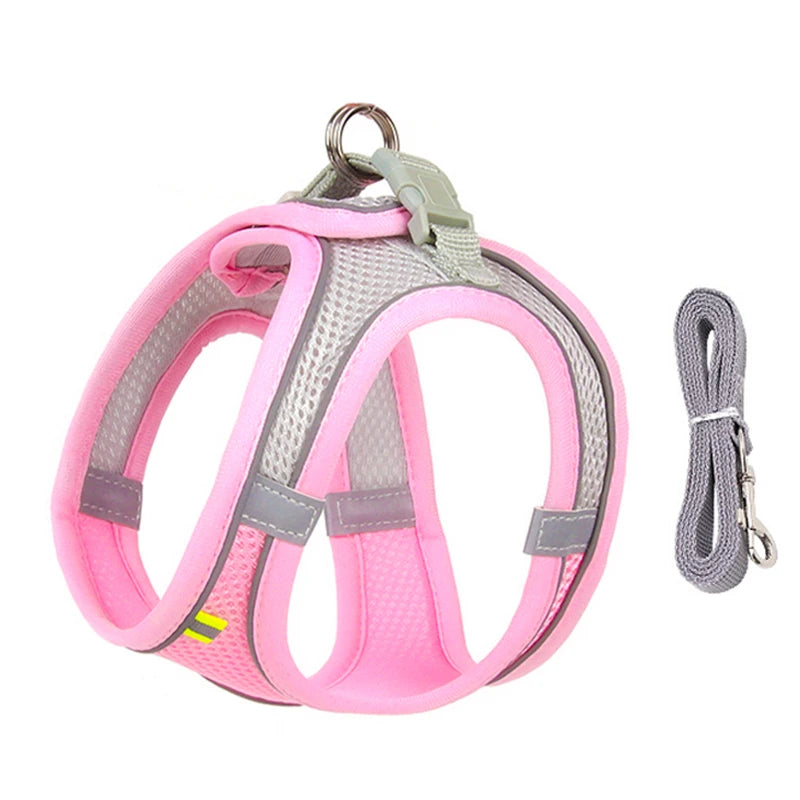 Ensemble Harnais et Laisse pour Petit Chien ou Chat – Harnais Réglable en Maille Respirante avec Liseré Réfléchissant Ma boutique