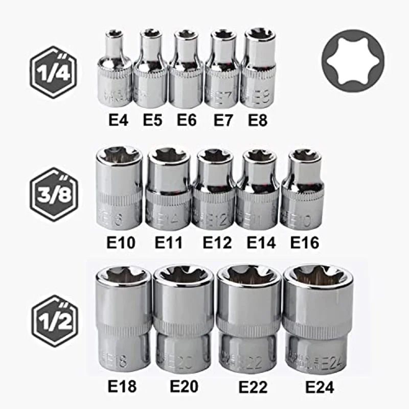 Jeu de Douilles Femelles Torx E4 à E24 – 14 Pièces | Douilles Étoile Externe (E-Torx) en Acier Chrome Vanadium - BLACKBEARD OUTDOOR INDUSTRIES