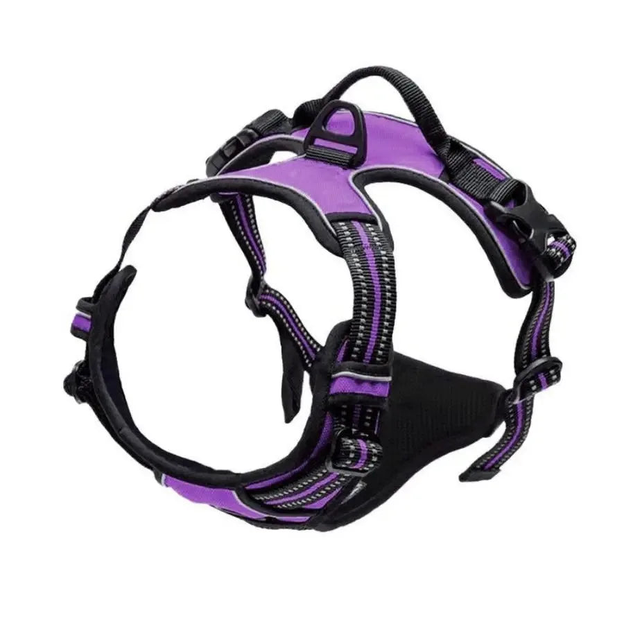 Ensemble Harnais, Collier et Laisse pour Chien – Design Élégant en Similicuir – Pour Chiens Petits et Moyens Ma boutique