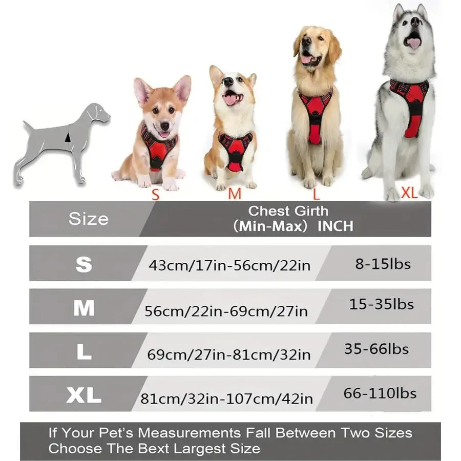 Ensemble Harnais, Collier et Laisse pour Chien – Design Élégant en Similicuir – Pour Chiens Petits et Moyens Ma boutique