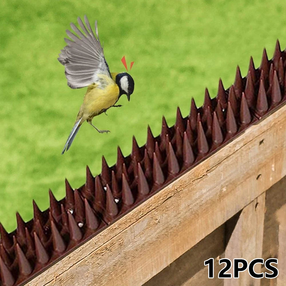 12 Pièces – Pointes Anti-Oiseaux et Anti-Grimpe en Plastique et Acier Inoxydable - BLACKBEARD OUTDOOR INDUSTRIES