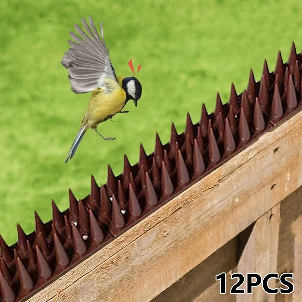 12 Pièces – Pointes Anti-Oiseaux et Anti-Grimpe en Plastique et Acier Inoxydable - BLACKBEARD OUTDOOR INDUSTRIES