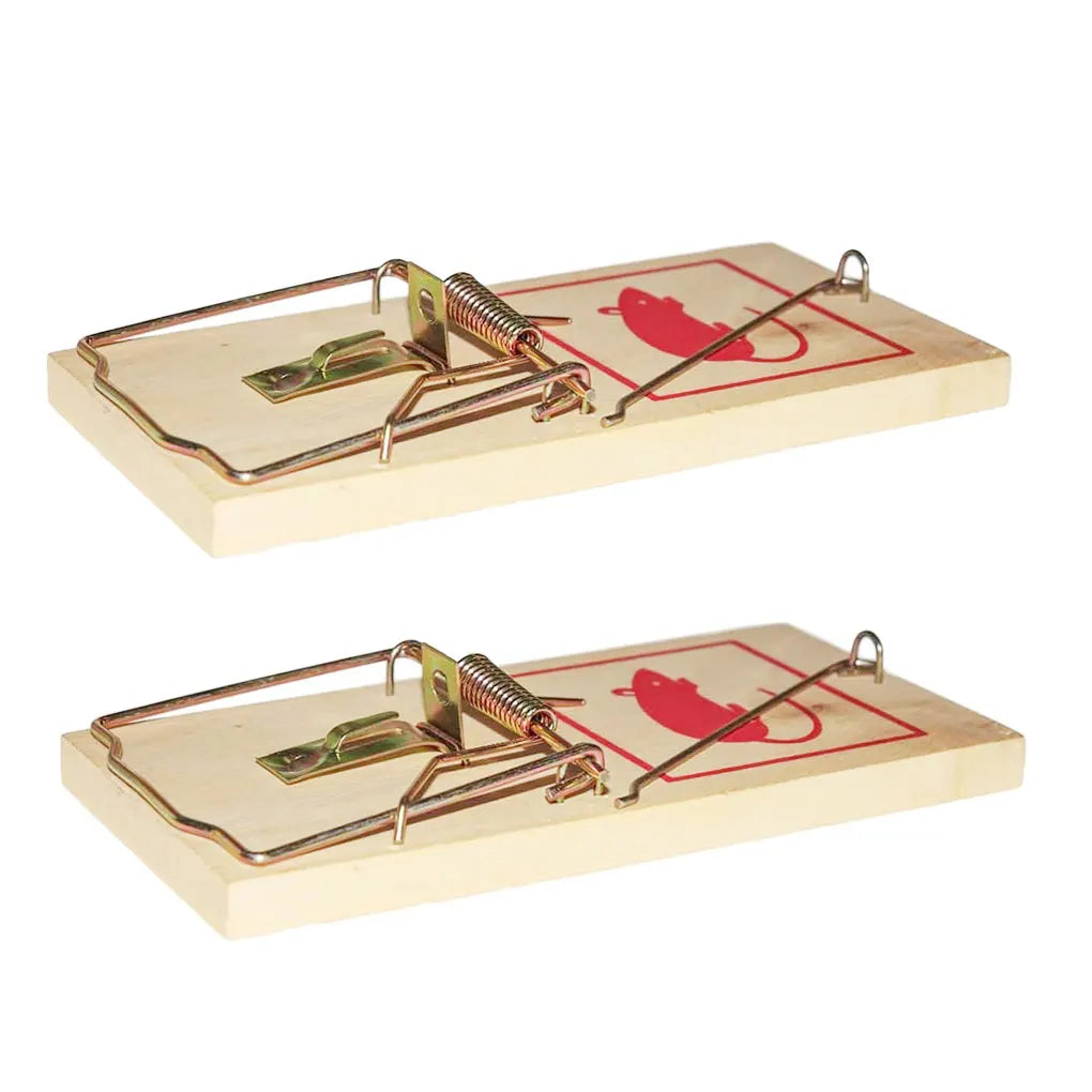 2 pièces Multi-Purpose Mouse Swatter – Solution Pratique et Durable pour Éliminer Souris et Rats Ma boutique