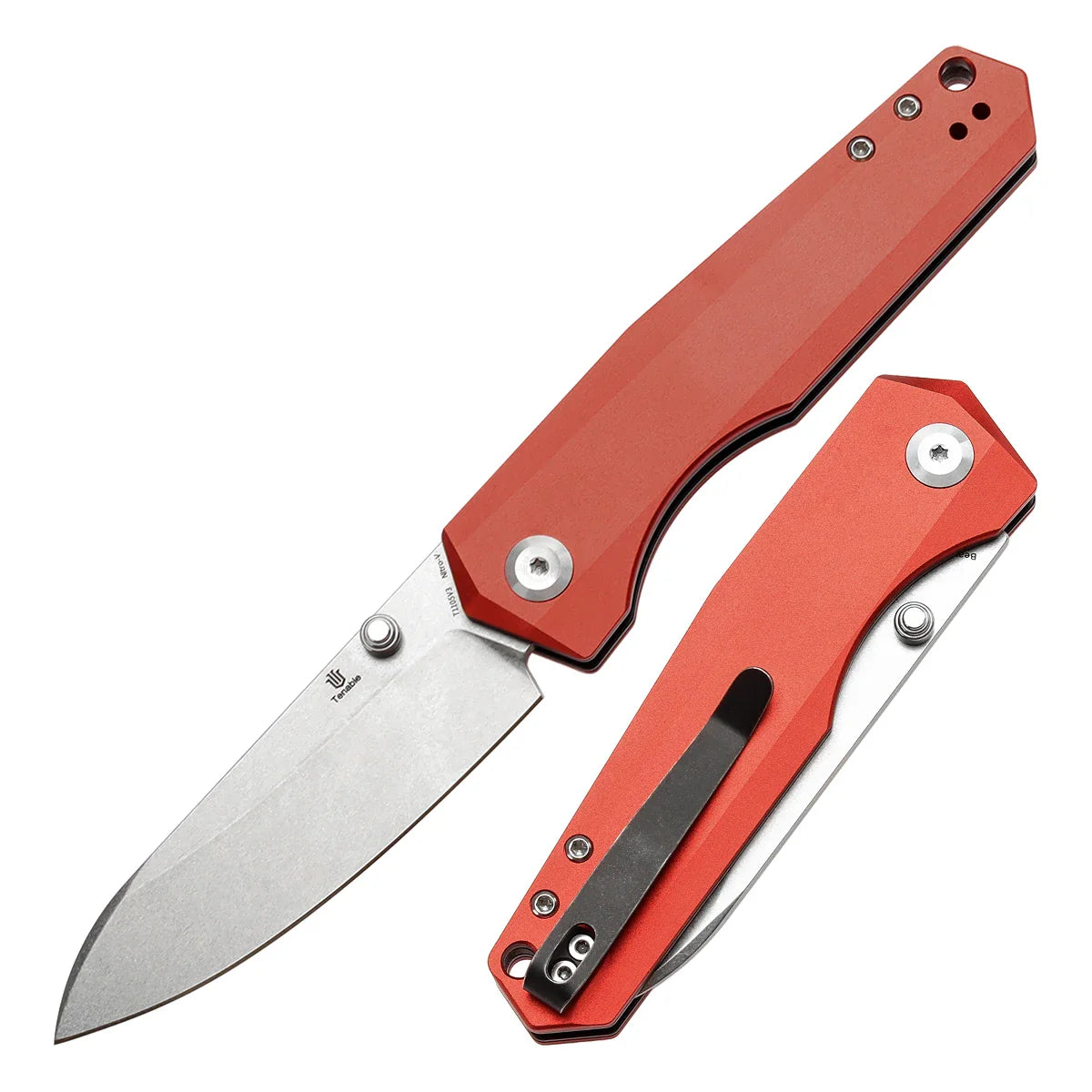 Tenable Pocket Knife Beaver T1105V – Couteau Pliant EDC Haut de Gamme par Kim Ning - BLACKBEARD OUTDOOR INDUSTRIES