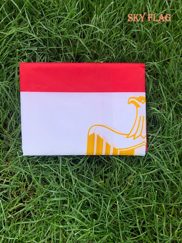 Drapeau National de l'Égypte - 90x150 cm - Imprimé Double Face - Polyester de Haute Qualité - Drapeau Suspendu pour Décoration BLACKBEARD OUTDOOR INDUSTRIES