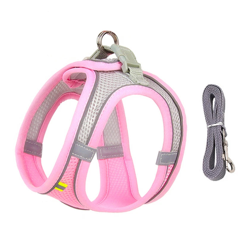 Ensemble Harnais et Laisse pour Petit Chien ou Chat – Harnais Réglable en Maille Respirante avec Liseré Réfléchissant Ma boutique