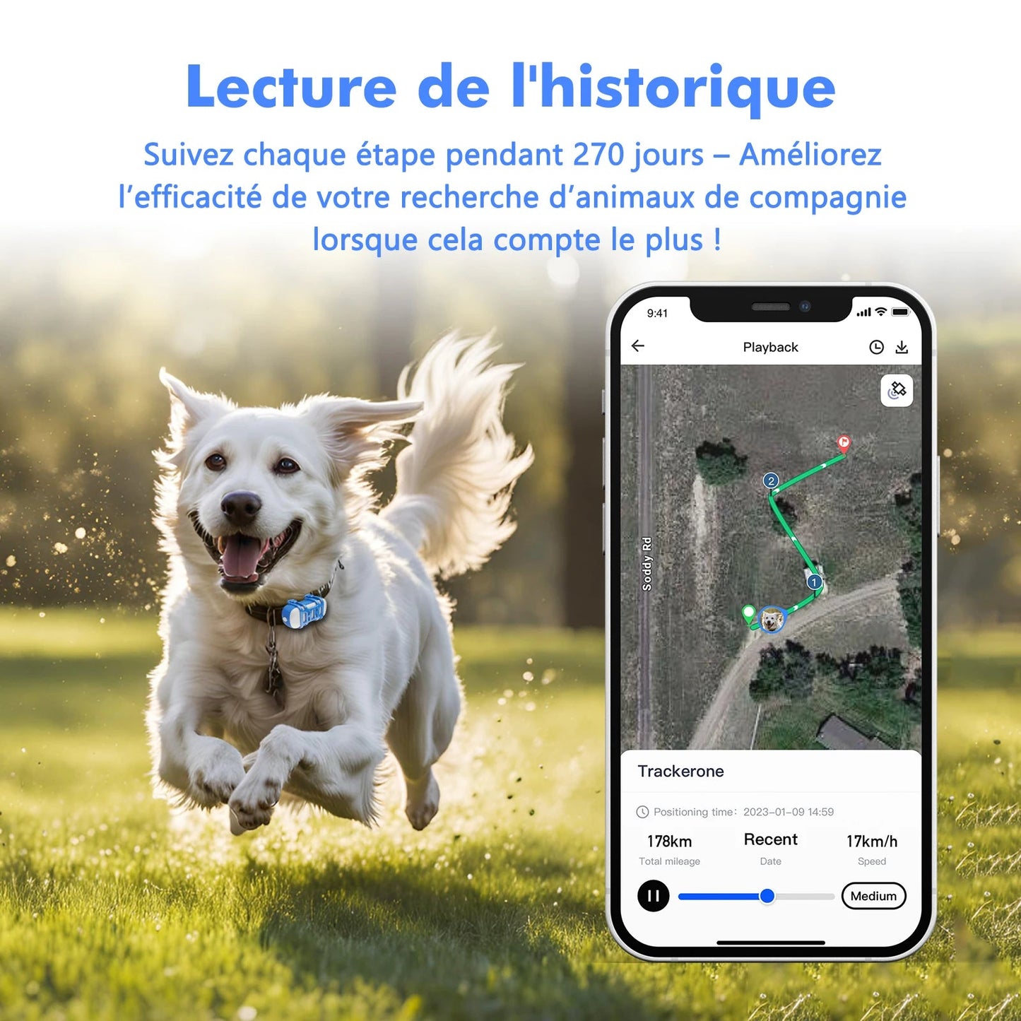 Traceur GPS 4G pour Chien & Chat – Étanche, Localisation en Temps Réel, Son/Lumière, Application Mobile Incluse Ma boutique