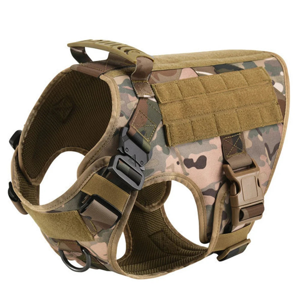 Harnais Tactique PETRAVEL pour Grand Chien – Ensemble Harnais + Collier + Laisse avec Système MOLLE Ma boutique