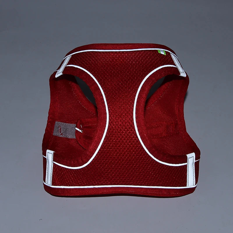 Ensemble Harnais et Laisse pour Petit Chien ou Chat – Harnais Réglable en Maille Respirante avec Liseré Réfléchissant Ma boutique