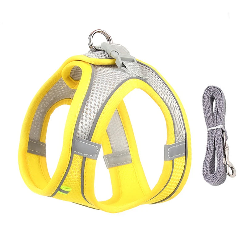Ensemble Harnais et Laisse pour Petit Chien ou Chat – Harnais Réglable en Maille Respirante avec Liseré Réfléchissant Ma boutique