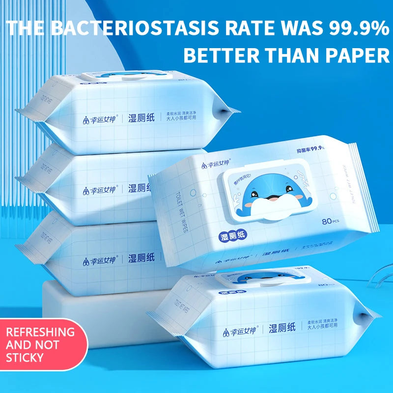 80pcs / 160pcs Wet Toilet Paper – Flushable Adult Hygiene Care Wipes - BLACKBEARD OUTDOOR INDUSTRIES