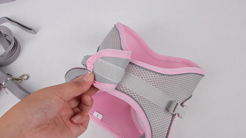 Ensemble Harnais et Laisse pour Petit Chien ou Chat – Harnais Réglable en Maille Respirante avec Liseré Réfléchissant Ma boutique