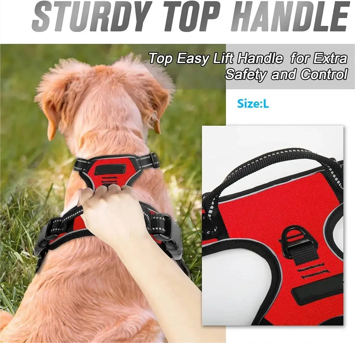Ensemble Harnais, Collier et Laisse pour Chien – Design Élégant en Similicuir – Pour Chiens Petits et Moyens Ma boutique
