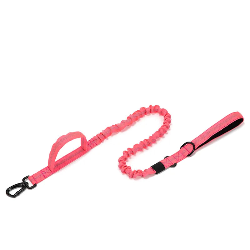 Ensemble Collier & Laisse pour Chien – Résistant, Réfléchissant et Confortable Ma boutique