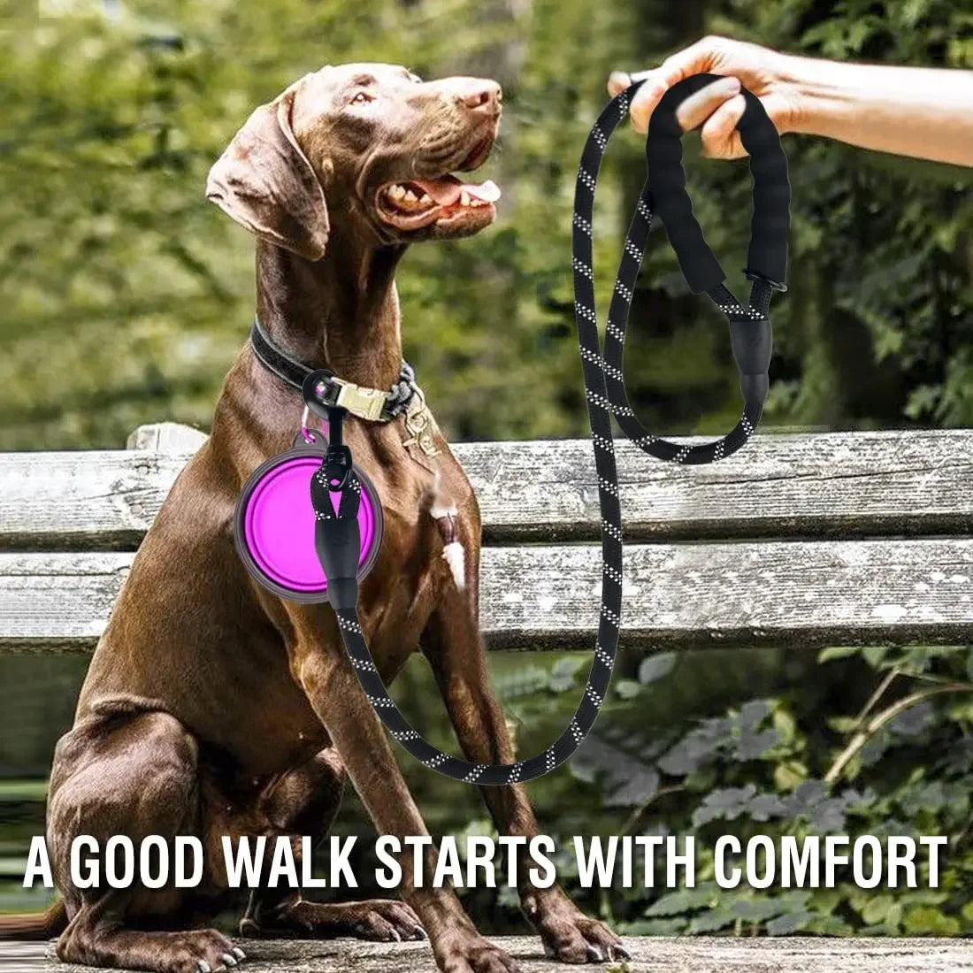 Laisse Réfléchissante Résistante pour Chien – Tous Gabarits | Anti-Traction & Sécurité Ma boutique