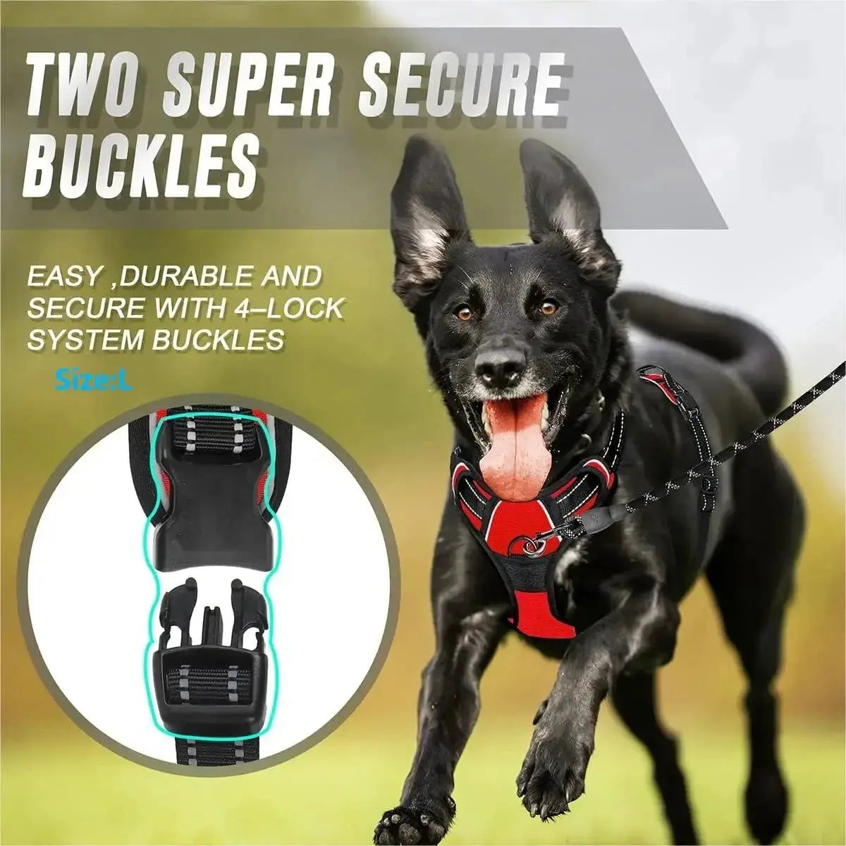 chiens BLACKBEARD OUTDOOR INDUSTRIES