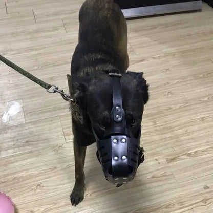 Muselière Panier en Cuir pour Chien – Anti-Morsure et Dressage | Pour Berger Allemand, Doberman, K9 Ma boutique