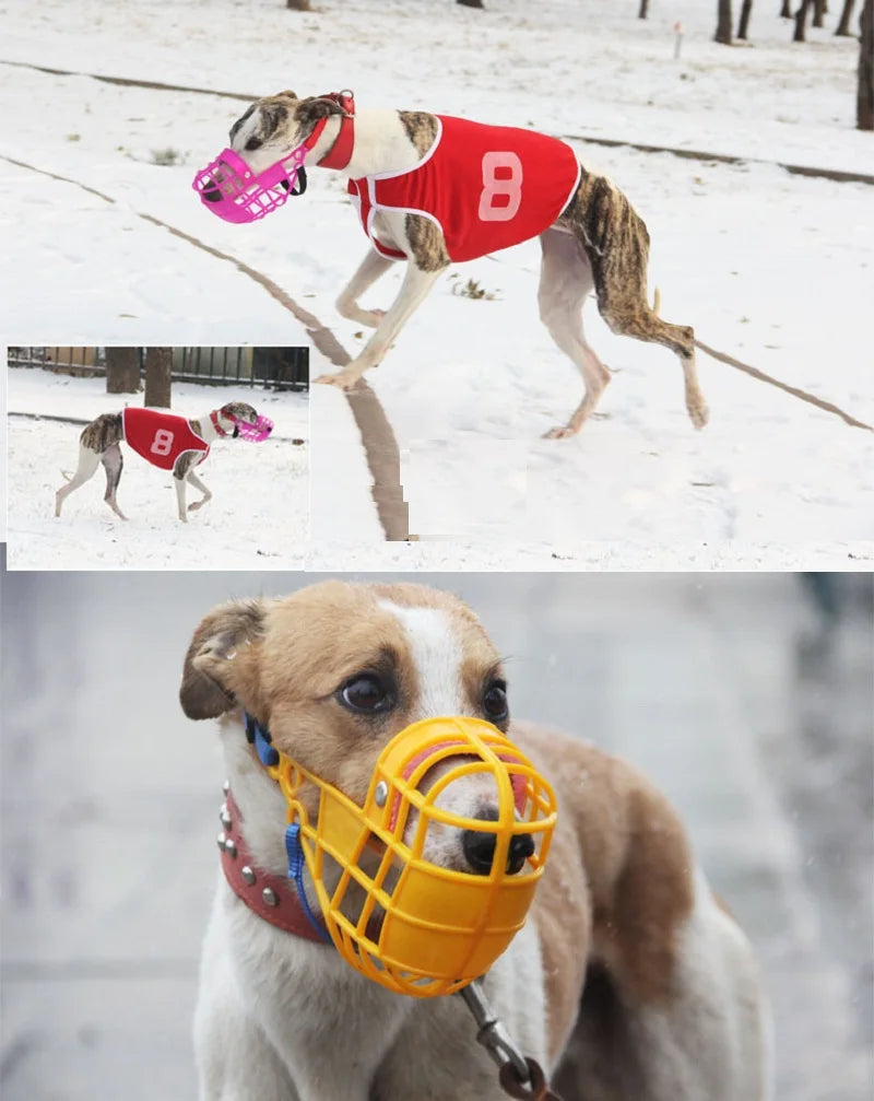 Muselière Panier Respirante pour Chien – Anti-Morsure, Anti-Aboiement, Anti-Mastication | Spéciale Lévrier, Whippet, Grand Chien Ma boutique
