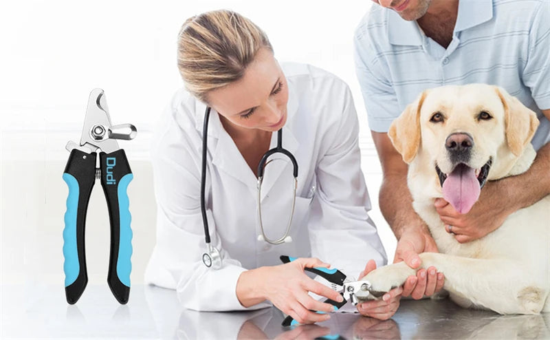 Coupe-Griffes Professionnel pour Chiens et Chats – Acier Inoxydable avec Butée de Sécurité Ma boutique