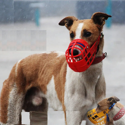 Muselière Panier Respirante pour Chien – Anti-Morsure, Anti-Aboiement, Anti-Mastication | Spéciale Lévrier, Whippet, Grand Chien Ma boutique