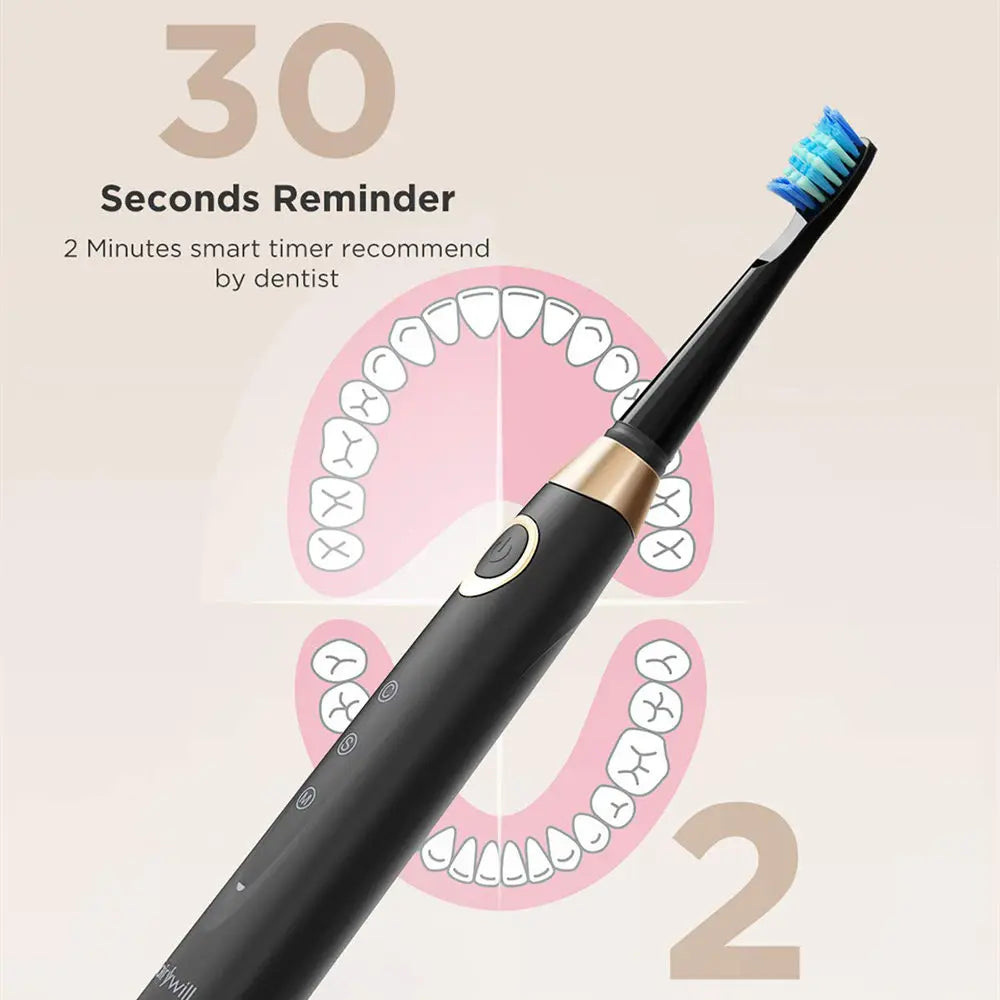 Brosse à dents électrique Fairywill FW-508 à ultrasons – Rechargeable, Minuteur, 5 Modes, Charge rapide, 8 têtes pour adultes - BLACKBEARD OUTDOOR INDUSTRIES