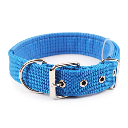 Collier pour Chien en Nylon – Solide et Confortable – Toutes Tailles et Races Ma boutique