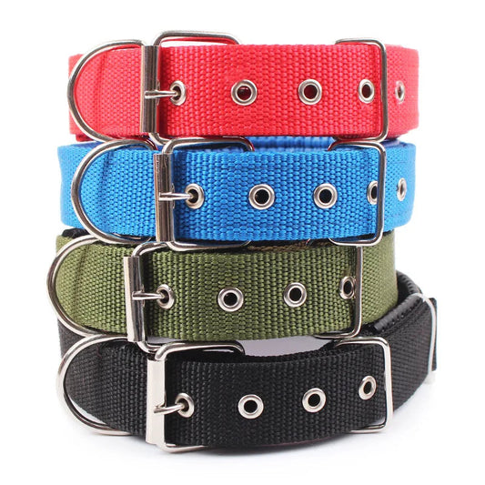 Collier pour Chien en Nylon – Solide et Confortable – Toutes Tailles et Races Ma boutique