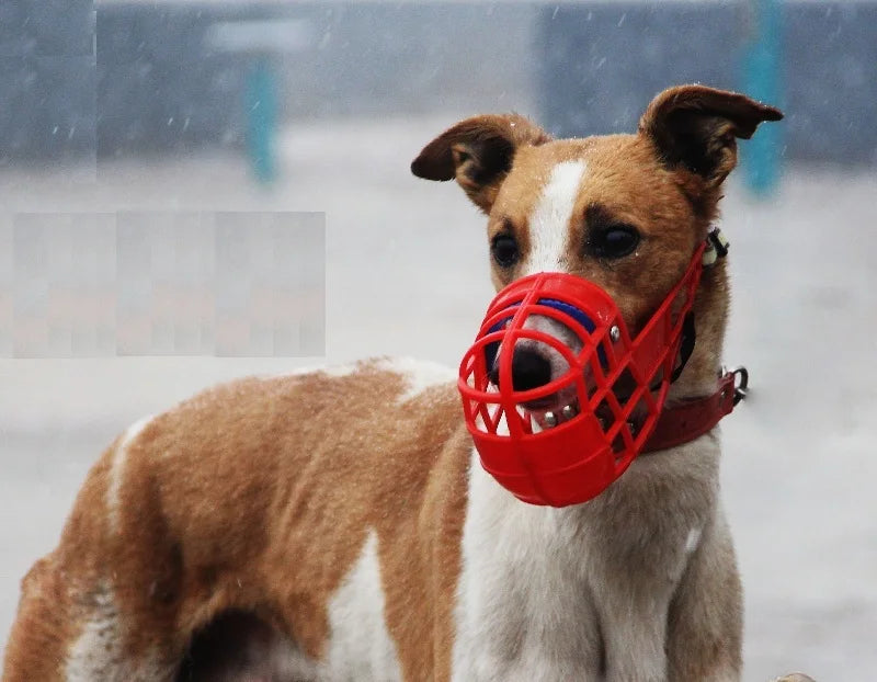 Muselière Panier Respirante pour Chien – Anti-Morsure, Anti-Aboiement, Anti-Mastication | Spéciale Lévrier, Whippet, Grand Chien Ma boutique