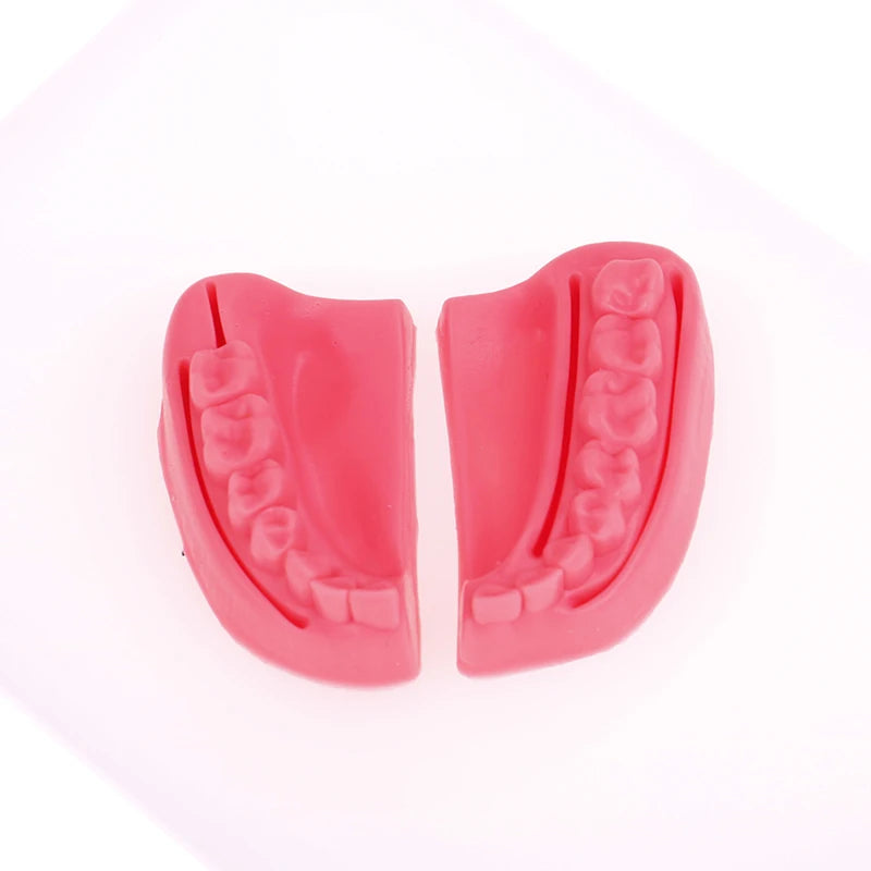 Kit 4pcs Modèles de Suture Buccale Simulation Dentaire – Formation et Entraînement en Suture Gingivale Ma boutique