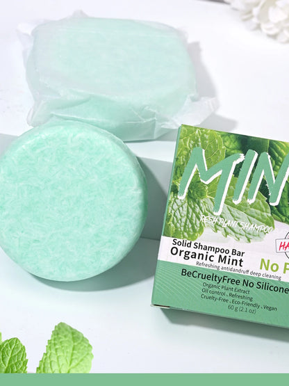 Shampooing Solide Rafraîchissant à la Menthe – Soin Capillaire Tonifiant & Naturel - BLACKBEARD OUTDOOR INDUSTRIES