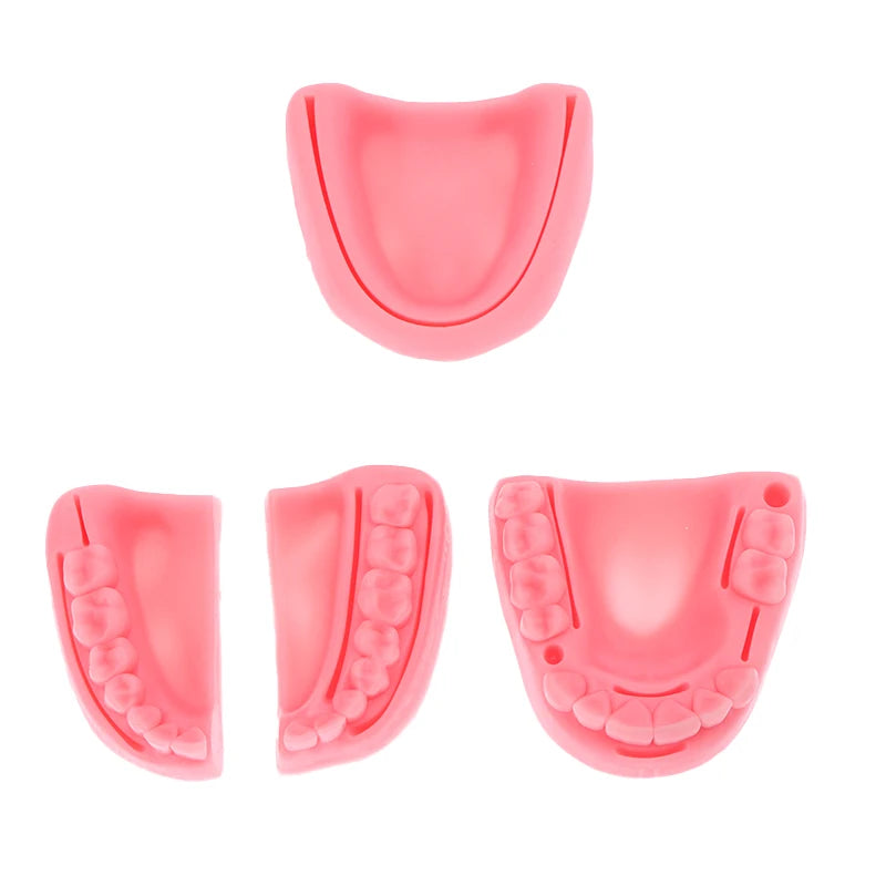 Kit Complet d’Entraînement à la Suture Dentaire – Modèle Pratique et Outils Ma boutique