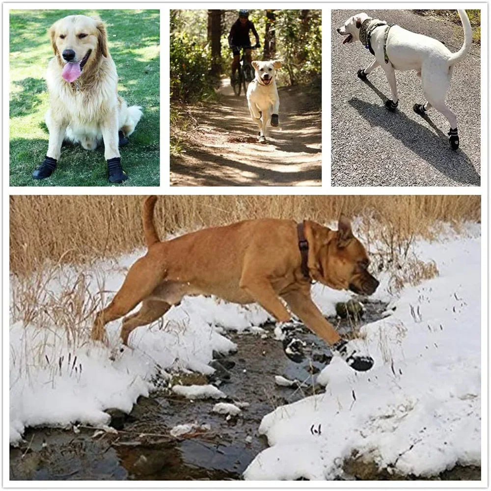Chaussures pour Chien Imperméables – Antidérapantes | Protection Patte Été & Hiver (4 pièces) Ma boutique