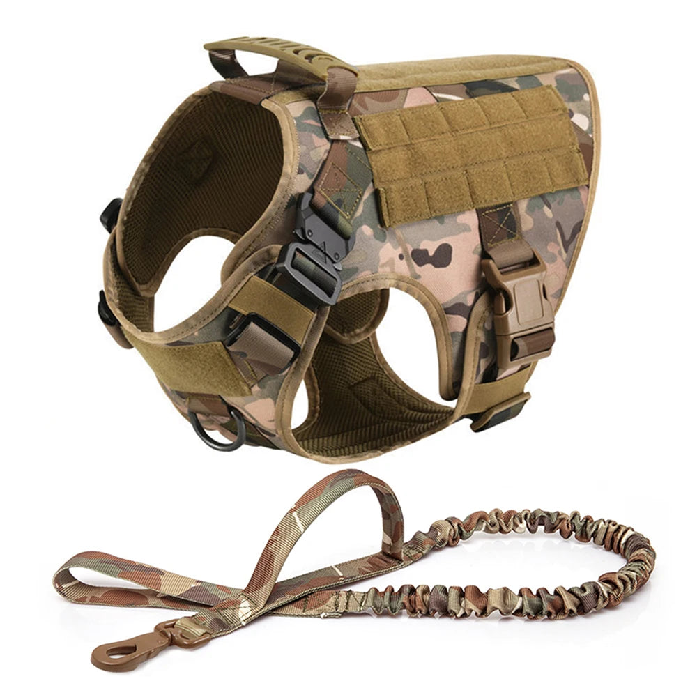 Harnais Tactique PETRAVEL pour Grand Chien – Ensemble Harnais + Collier + Laisse avec Système MOLLE Ma boutique
