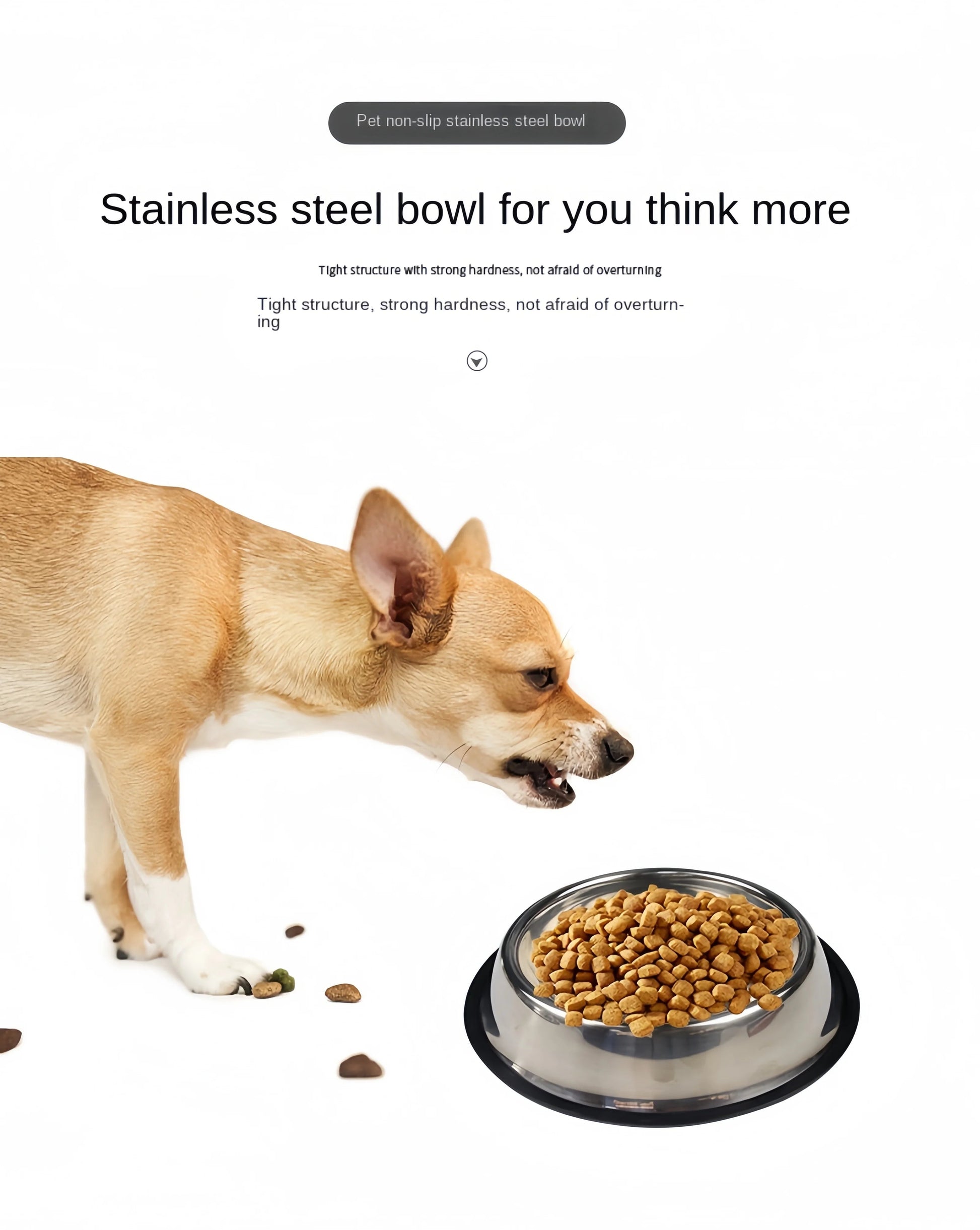 Gamelle Inox pour Chien et Chat – 6 Tailles Disponibles Robuste • Facile à Nettoyer • Multi-usages Ma boutique