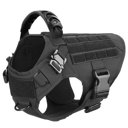 Harnais Tactique PETRAVEL pour Grand Chien – Ensemble Harnais + Collier + Laisse avec Système MOLLE Ma boutique