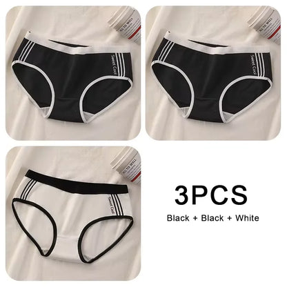 Lot de 3 Culottes Sans Coutures en Coton pour Femmes - Sous-vêtements à Taille Moyenne, Confortables et Idéales pour le Sport - BLACKBEARD OUTDOOR INDUSTRIES