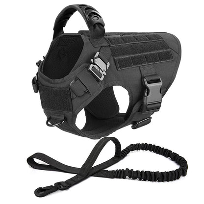 Harnais Tactique PETRAVEL pour Grand Chien – Ensemble Harnais + Collier + Laisse avec Système MOLLE Ma boutique