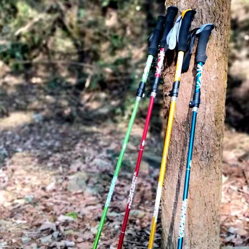 Bâton de Randonnée Pliable 5 Sections – PACOONE | Léger, Télescopique & Portable – 130 cm - BLACKBEARD OUTDOOR INDUSTRIES