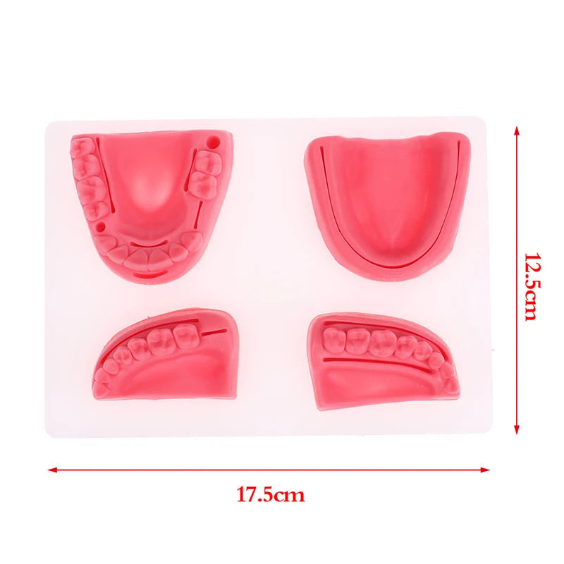 Kit 4pcs Modèles de Suture Buccale Simulation Dentaire – Formation et Entraînement en Suture Gingivale Ma boutique