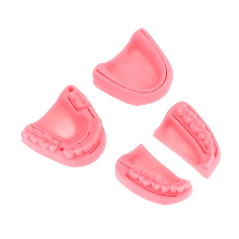 Kit Complet d’Entraînement à la Suture Dentaire – Modèle Pratique et Outils Ma boutique