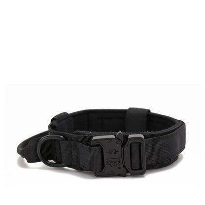Ensemble Collier & Laisse pour Chien – Résistant, Réfléchissant et Confortable Ma boutique