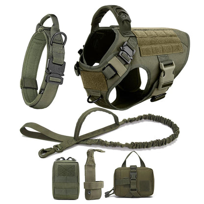 Harnais Tactique PETRAVEL pour Grand Chien – Ensemble Harnais + Collier + Laisse avec Système MOLLE Ma boutique