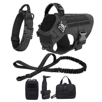 Harnais Tactique PETRAVEL pour Grand Chien – Ensemble Harnais + Collier + Laisse avec Système MOLLE Ma boutique