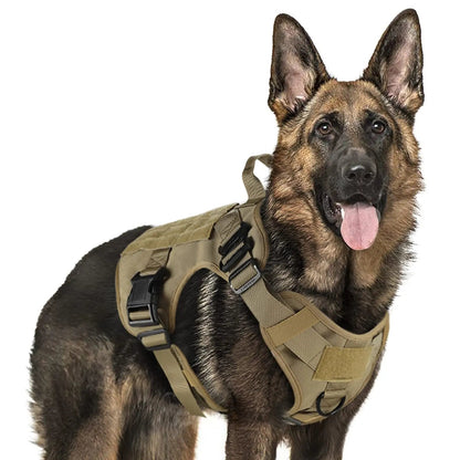 Harnais Tactique Militaire pour Grands Chiens – Harnais de Dressage Renforcé avec Poignée, Boucles Métalliques et Molle – Spécial Malinois, Berger Allemand, Bouledogue Français Ma boutique